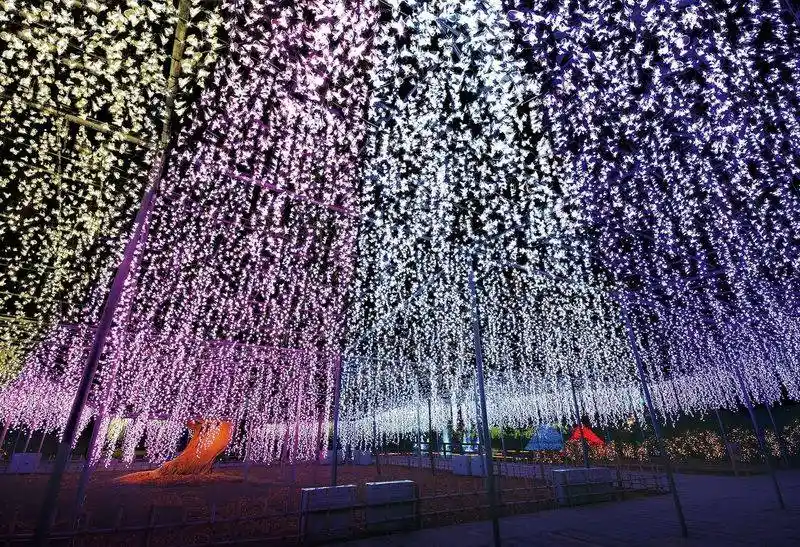 Illuminated Flower Gardens