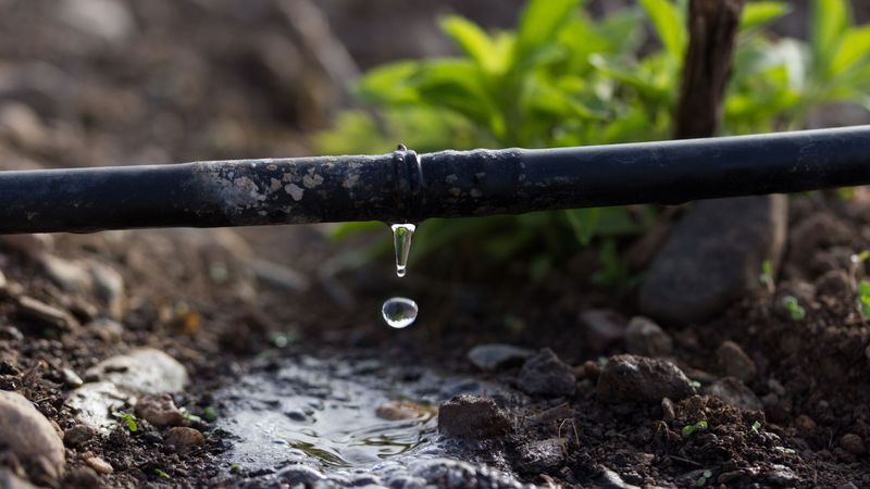 Implement Drip Irrigation