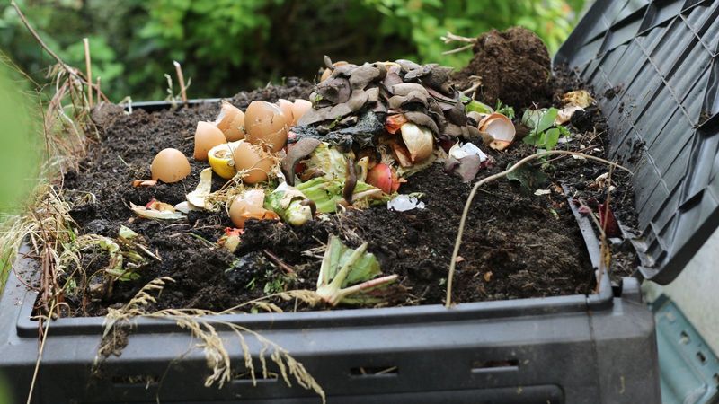 Improper Composting