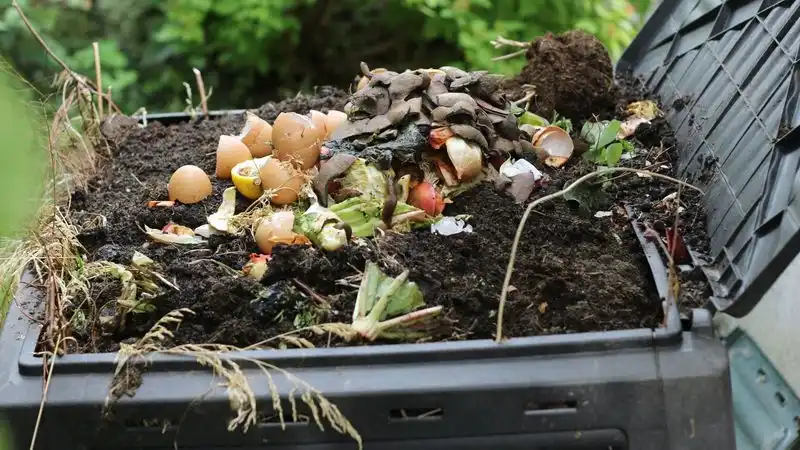 Improper Composting