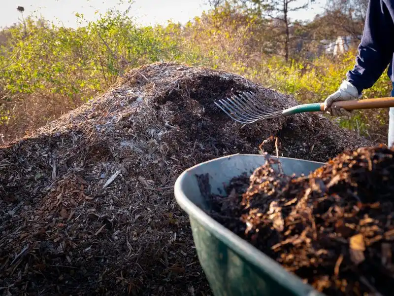 Improper Composting