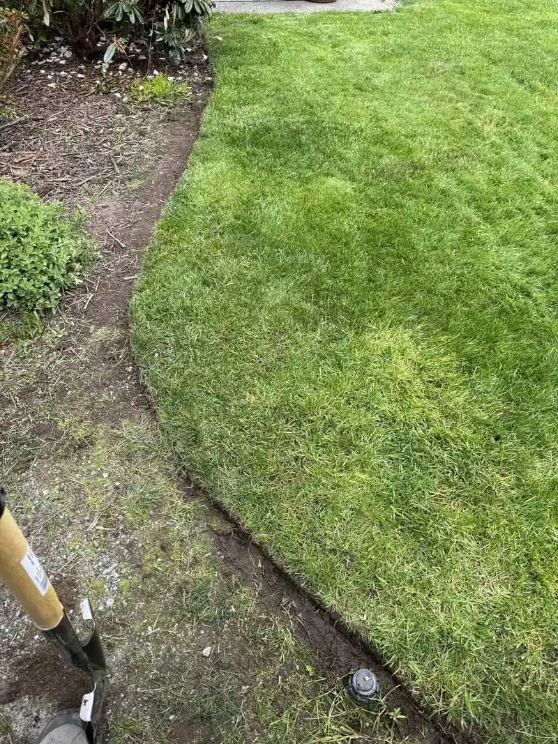 Ignoring Lawn Edges
