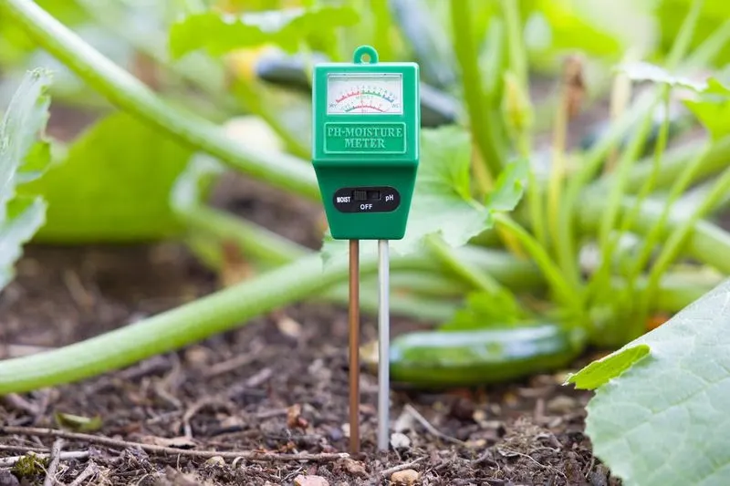 Neglecting Soil pH