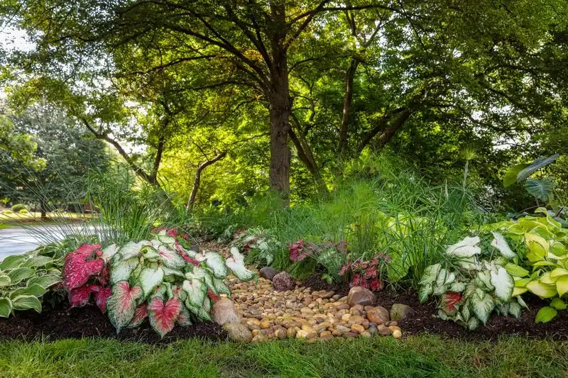 Inadequate Shade Planning