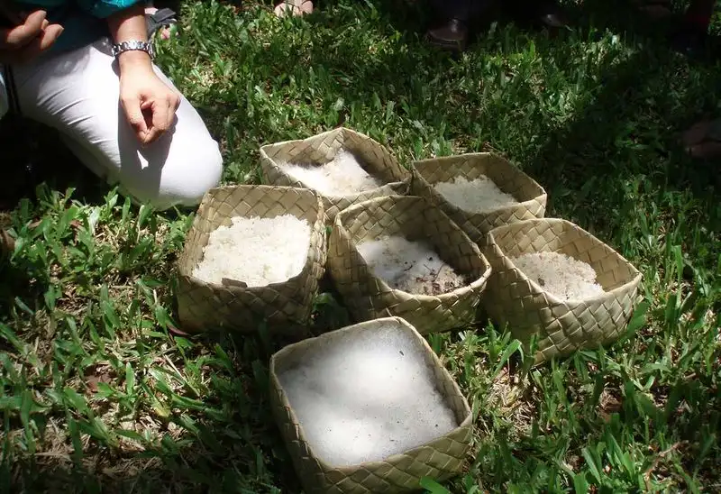 Indigenous Microorganisms in Natural Farming