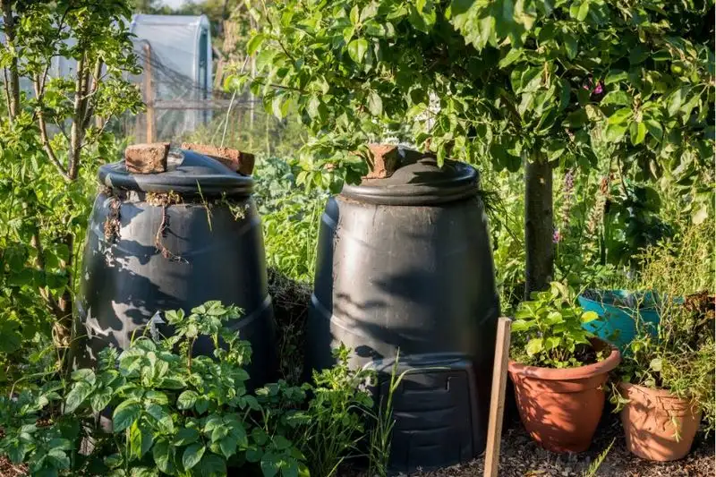 Insect Army Composting