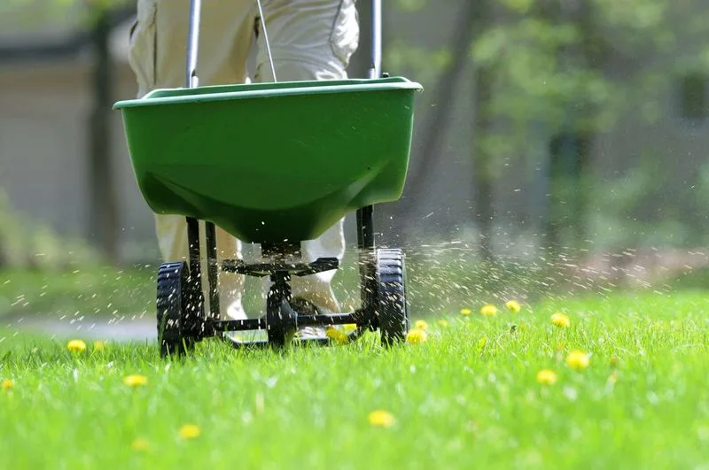 Fertilize the Lawn