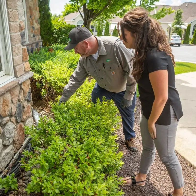 Inspect for Pests