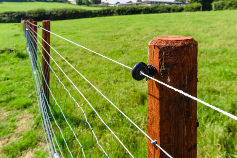 Install Electric Fencing