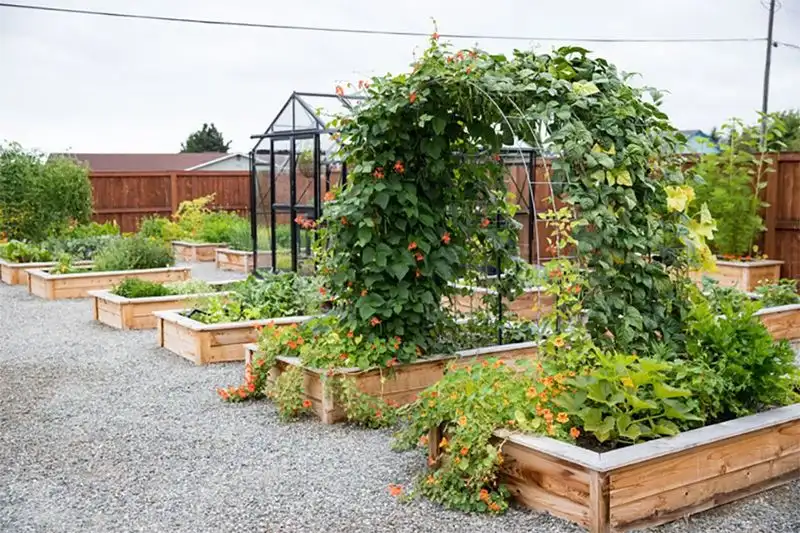 Install a Garden Arch