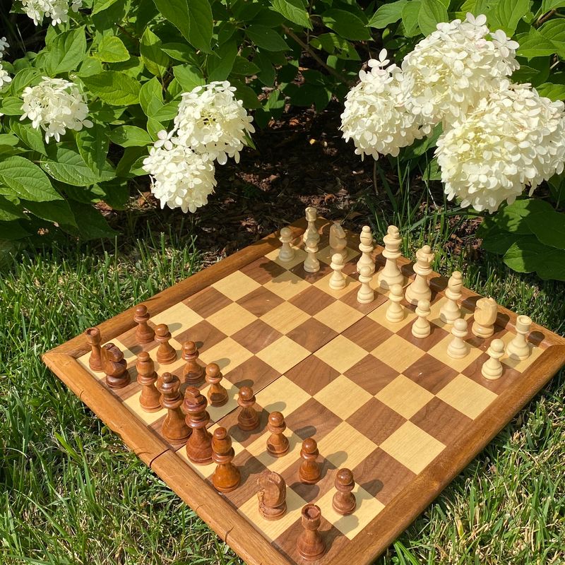 Interactive Garden Chess