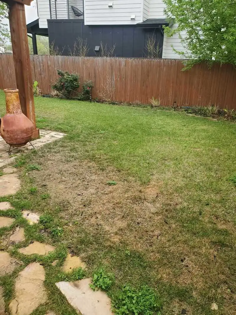 Regularly Reseed Worn Patches