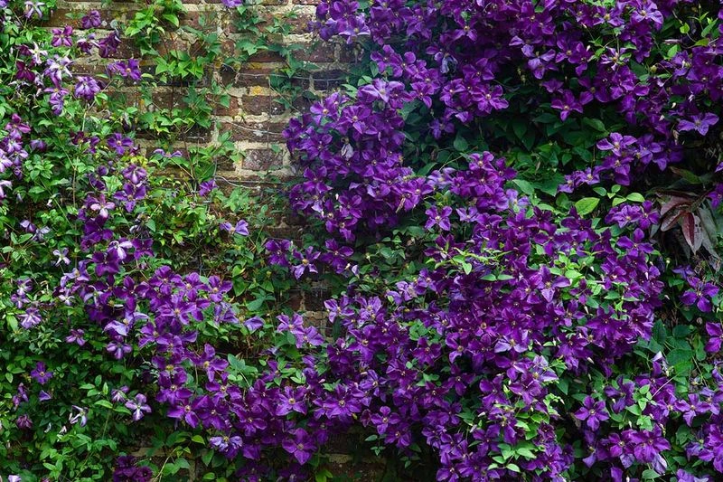 Pruning Challenges