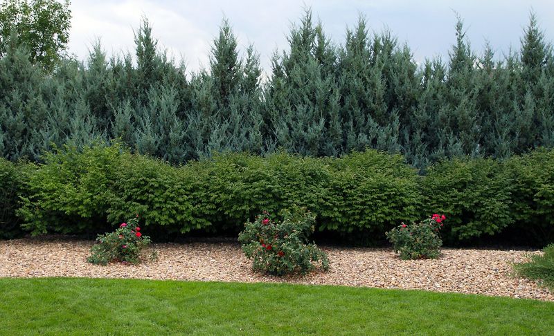 Install Windbreaks