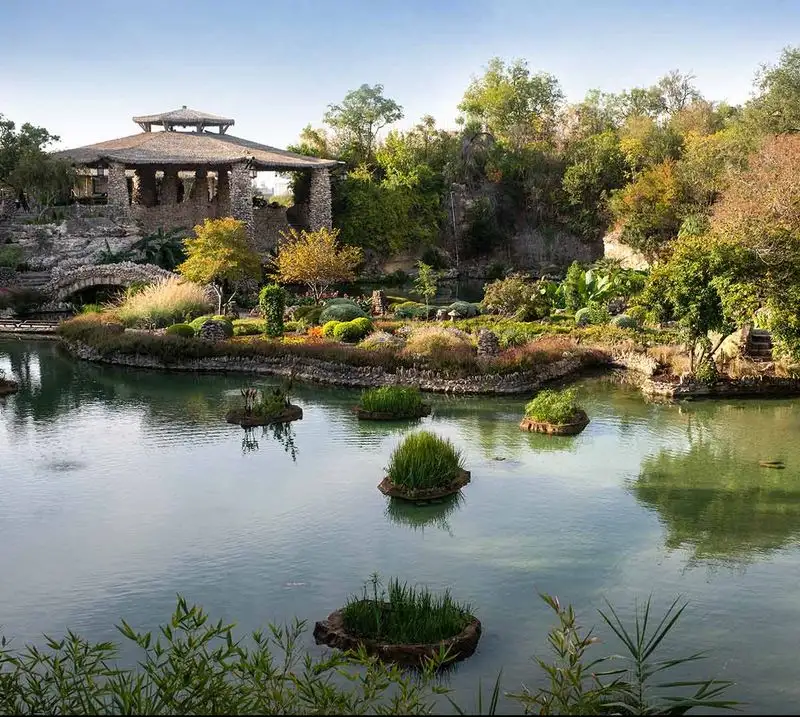 Tea Gardens