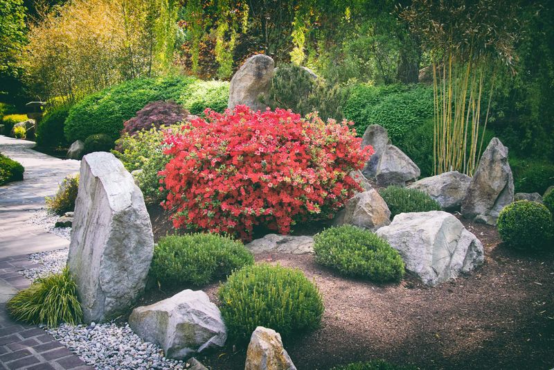 Japanese Rock Garden