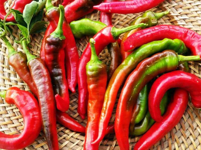 Jimmy Nardello's Pepper