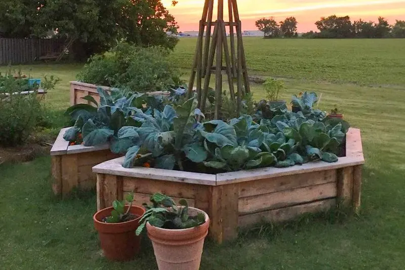 Keyhole Garden