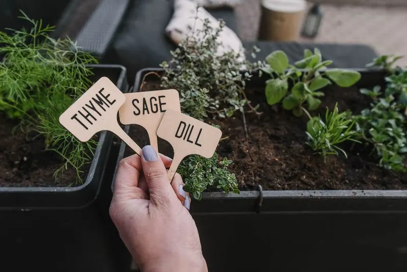 Label Your Plants