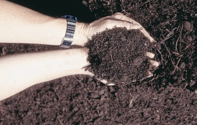 Lack of Organic Matter