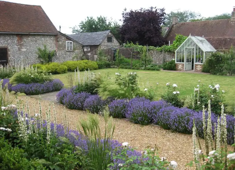 Lavender Dreams