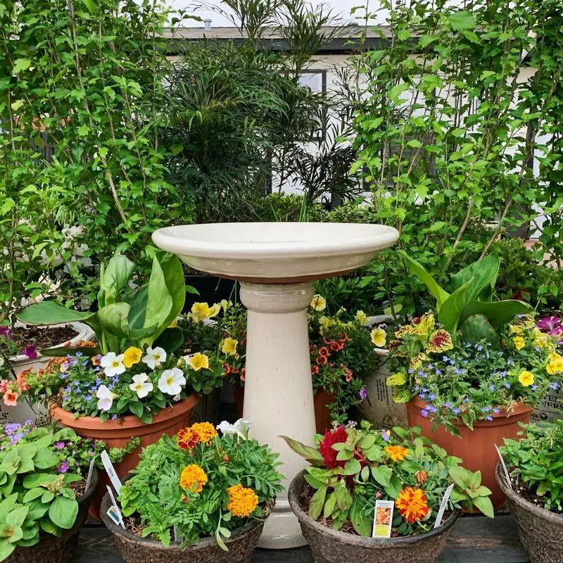Layered Planting