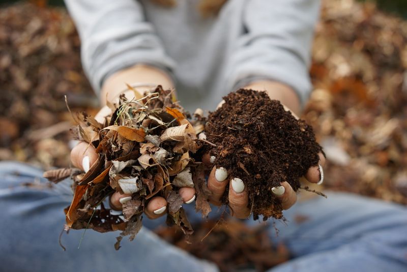 Leaf Mold
