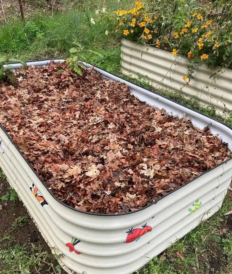 Leaf Mulch