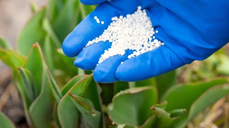 Fertilize Appropriately