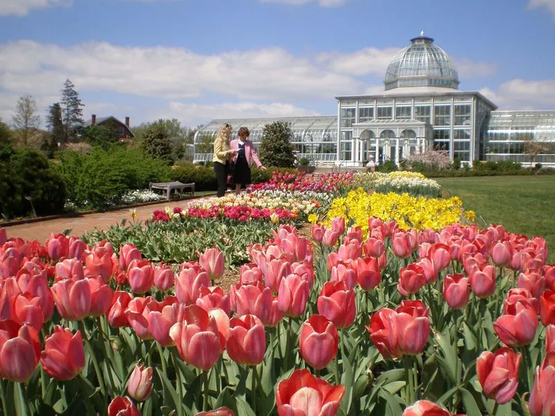 Lewis Ginter Botanical Garden's Rose Garden
