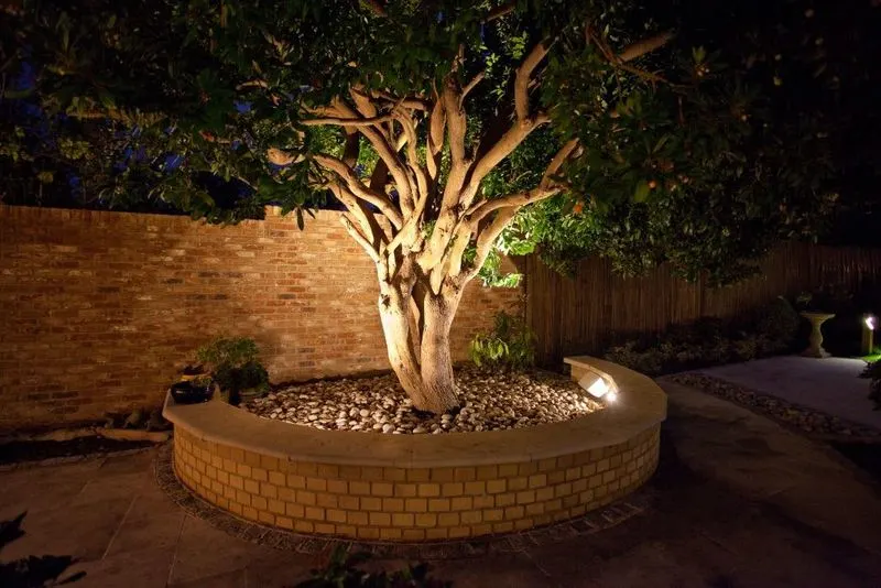 Lighting Innovations