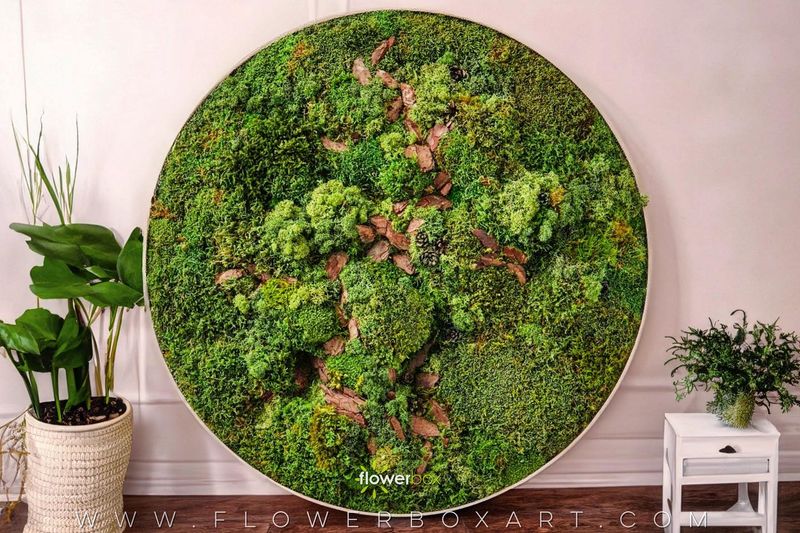 Living Picture Frame