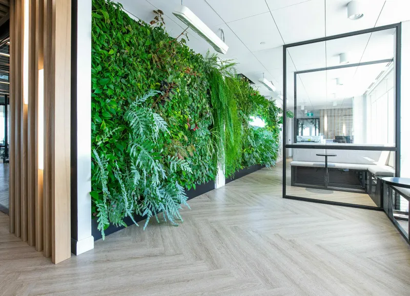 Living Walls