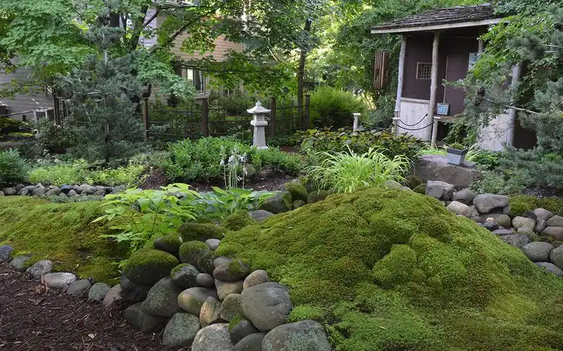 Moss Gardens