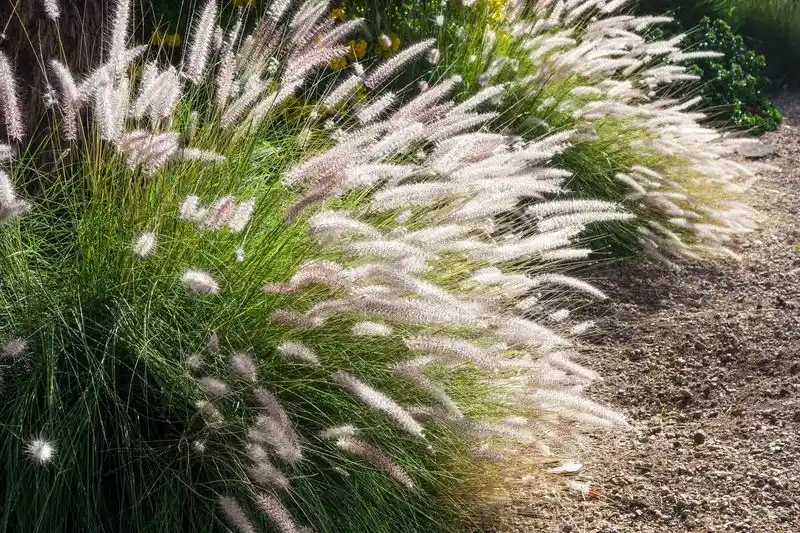 Low Maintenance Beauty