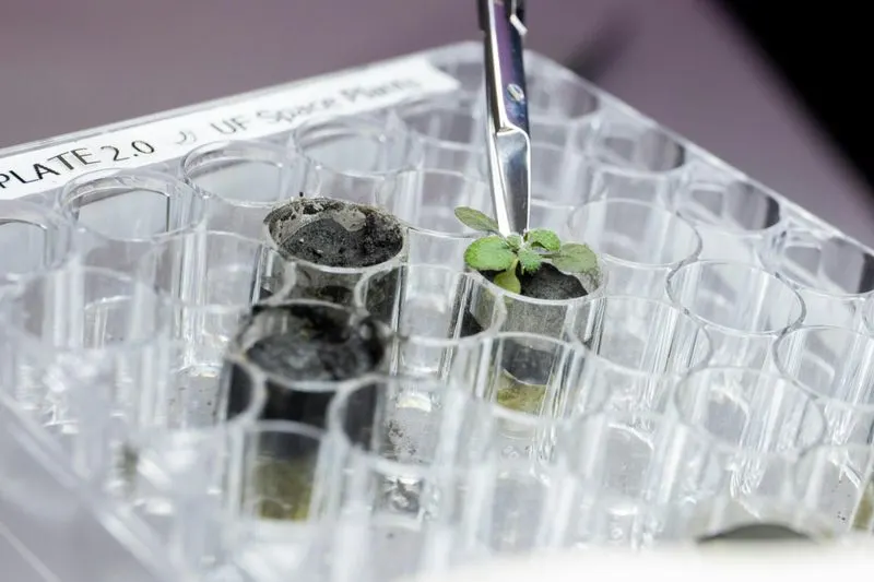 Lunar Soil Activation