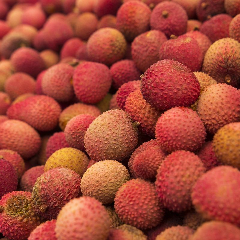Lychee