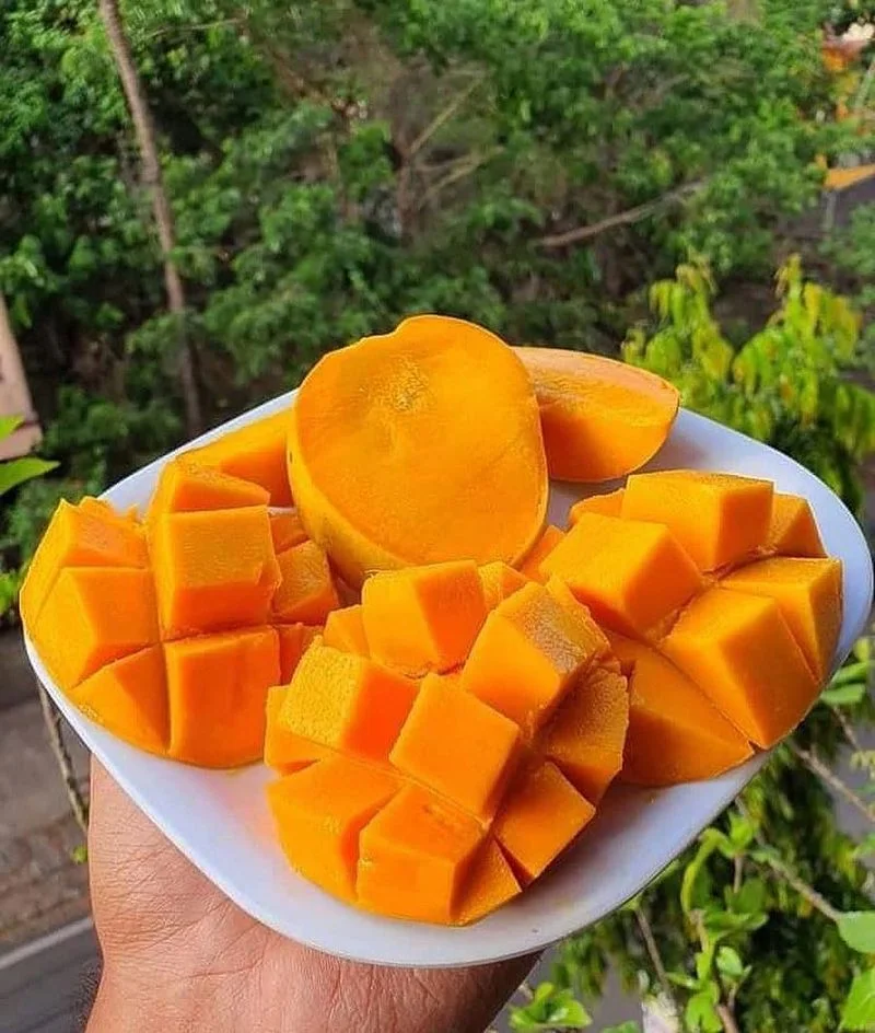 Mango