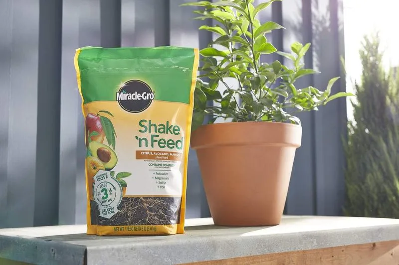 Mango Peel Nourish