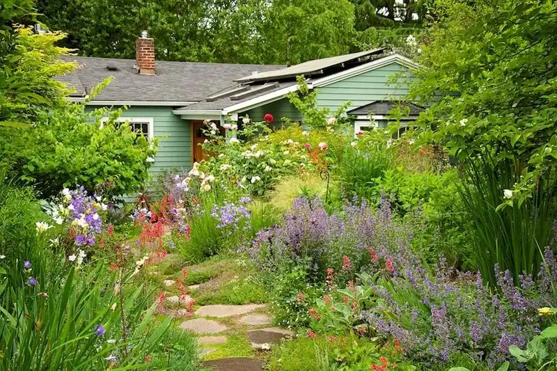 Meadow Garden