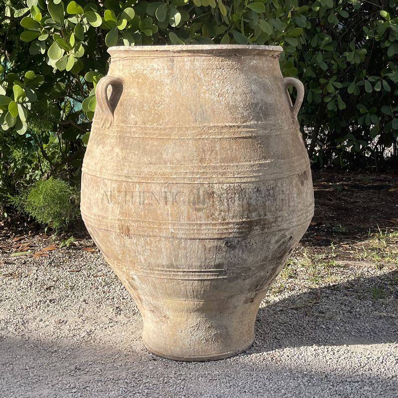 Mediterranean Olive Pot