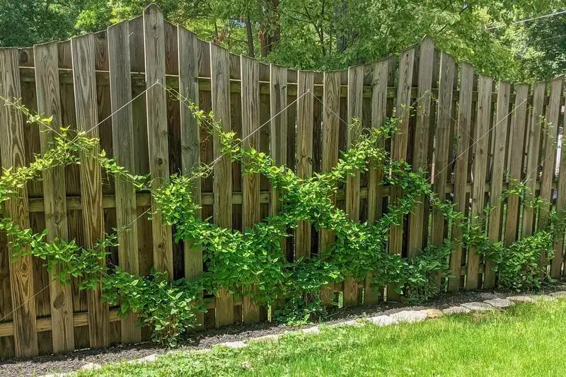 Temporary String System