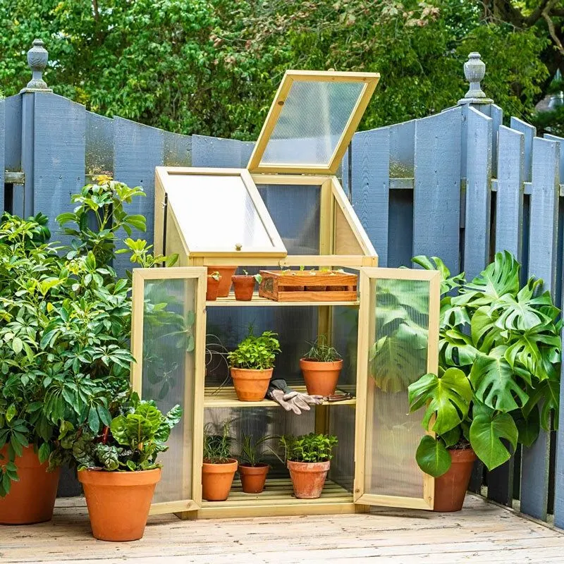 Mini Greenhouses