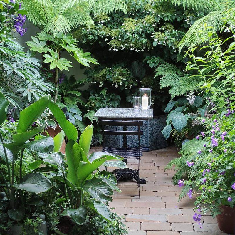 Mini Jungle