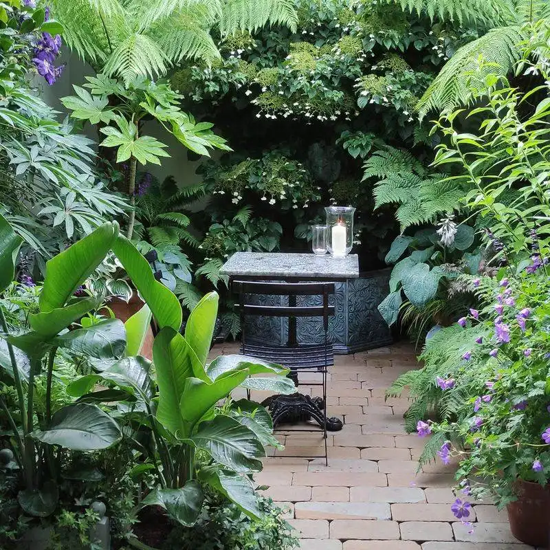 Mini Jungle