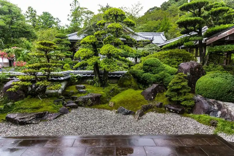 Vertical Gardens