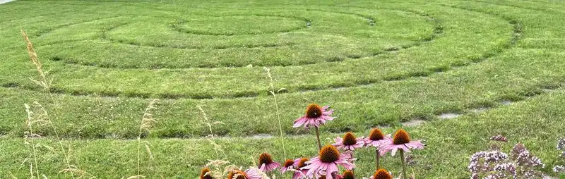 Minty Labyrinth: The Maze of Herbs