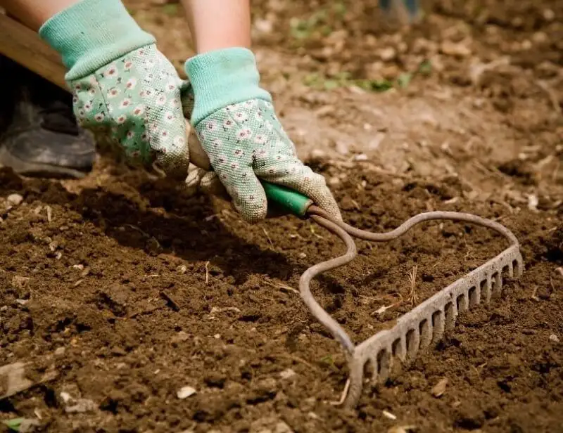 The Folly of Constant Tilling