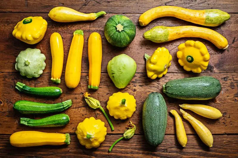 Knobbly Zucchini
