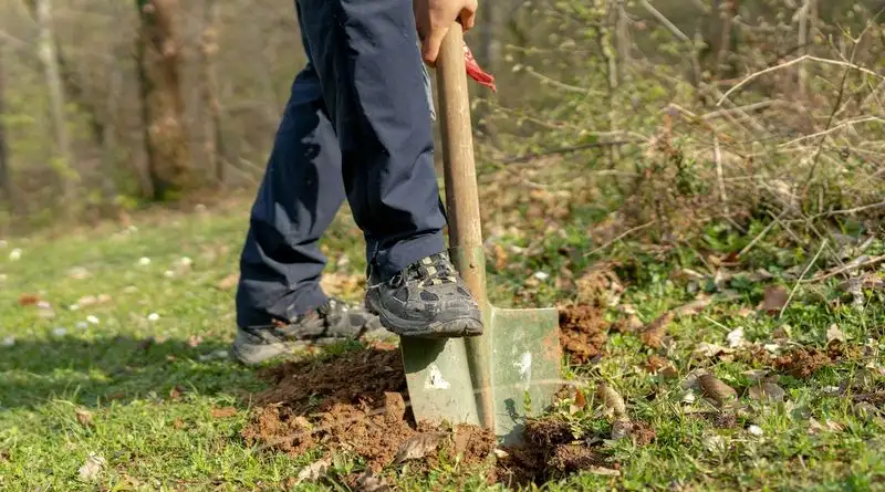 Mistake 3: Planting Too Deep